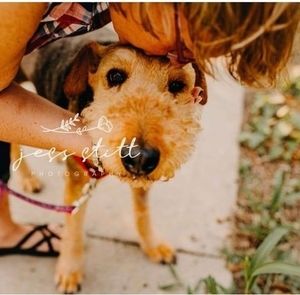 Meet your Posher, Christine